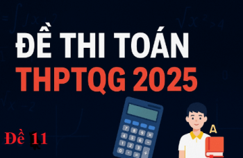 Đề số 11 (Đề ôn học kỳ...